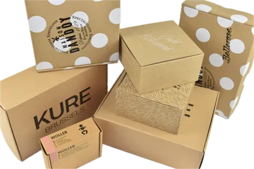 Entrega expresso Caixas em Zwijnaarde BE